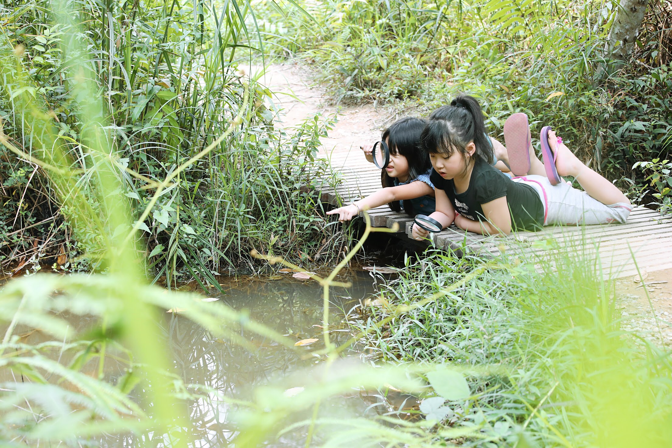 Go on a natural walk InspiraSeed